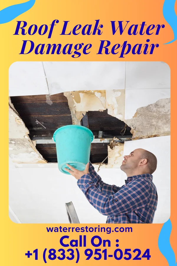 Roof Leak Water Damage Repair in Mount Carmel, FL